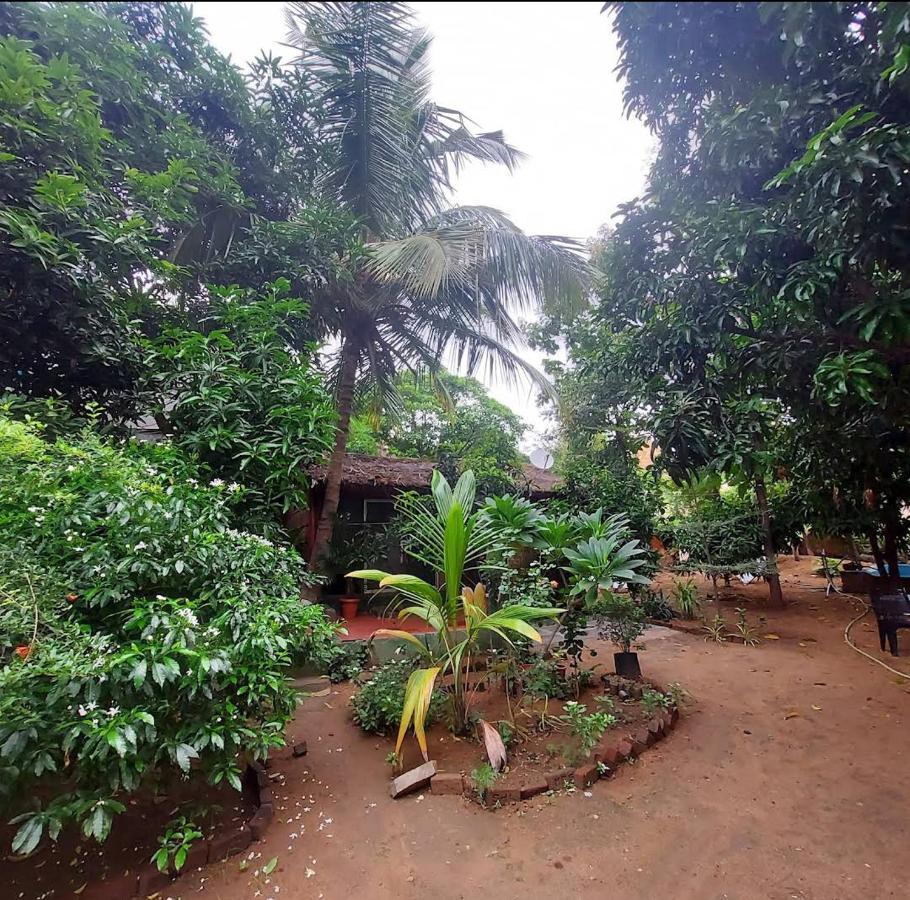 Lotus Riya Home Stay Hampi Dış mekan fotoğraf